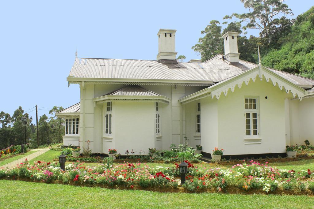 Serene Villa Нувара-Елія Екстер'єр фото
