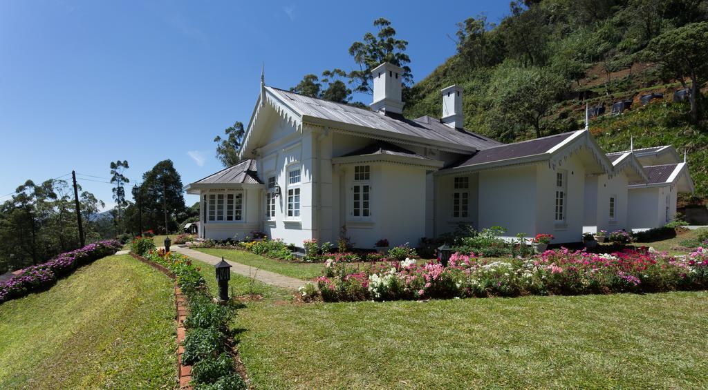 Serene Villa Нувара-Елія Екстер'єр фото